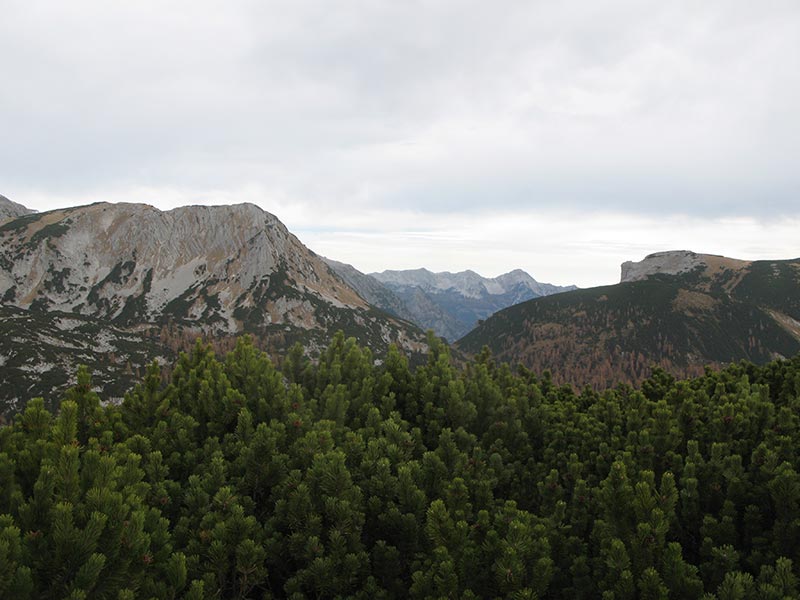 almkogel